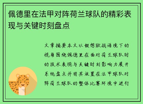 佩德里在法甲对阵荷兰球队的精彩表现与关键时刻盘点